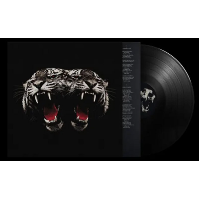Виниловая пластинка Royal Blood - Dead Company LP Предзаказ 