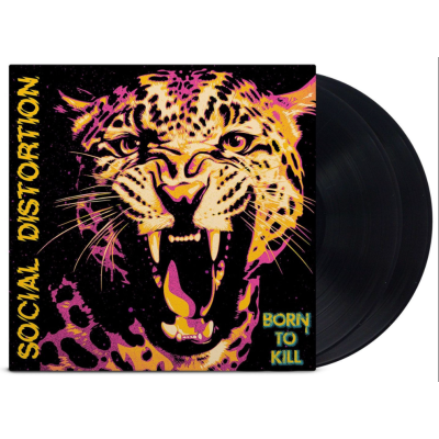 Виниловая пластинка Social Distortion - Born To Kill 2LP Предзаказ