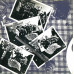 Виниловая пластинка Wizzard - Introducing Eddy And The Falcons LP
